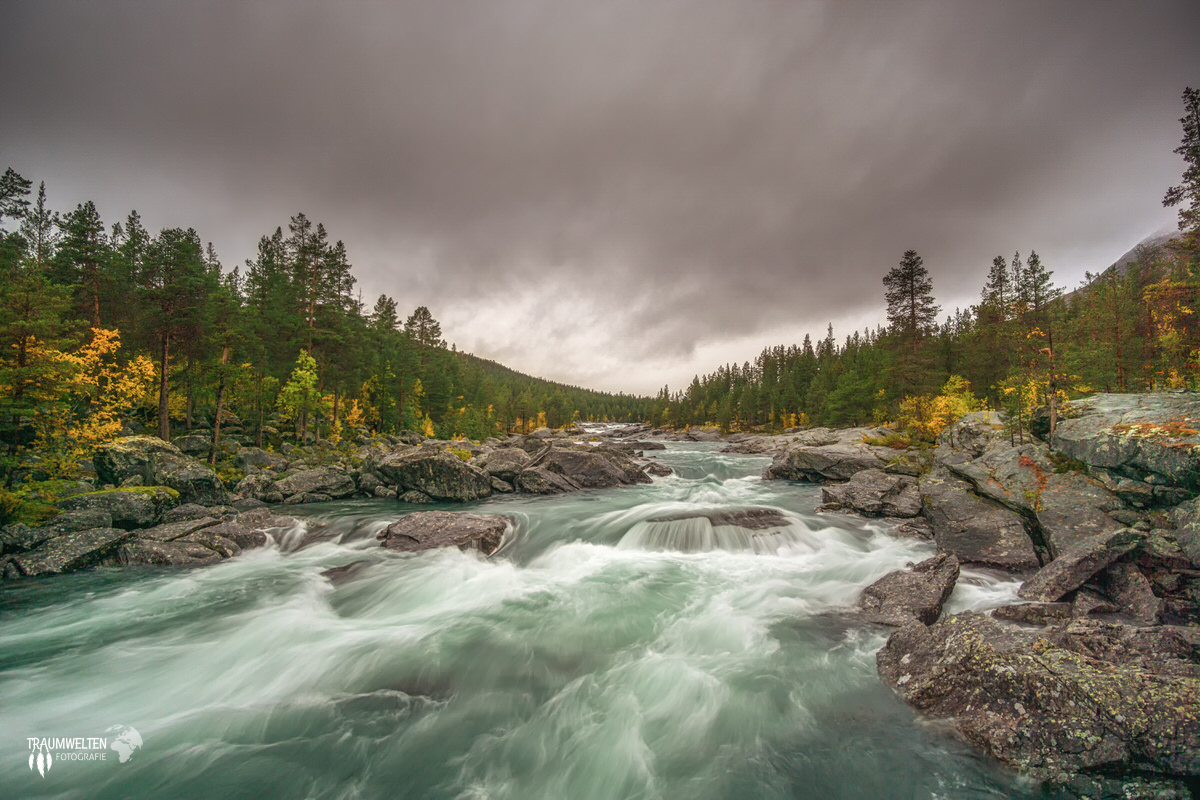 DSC00346-Bearbeitet-Bearbeitet