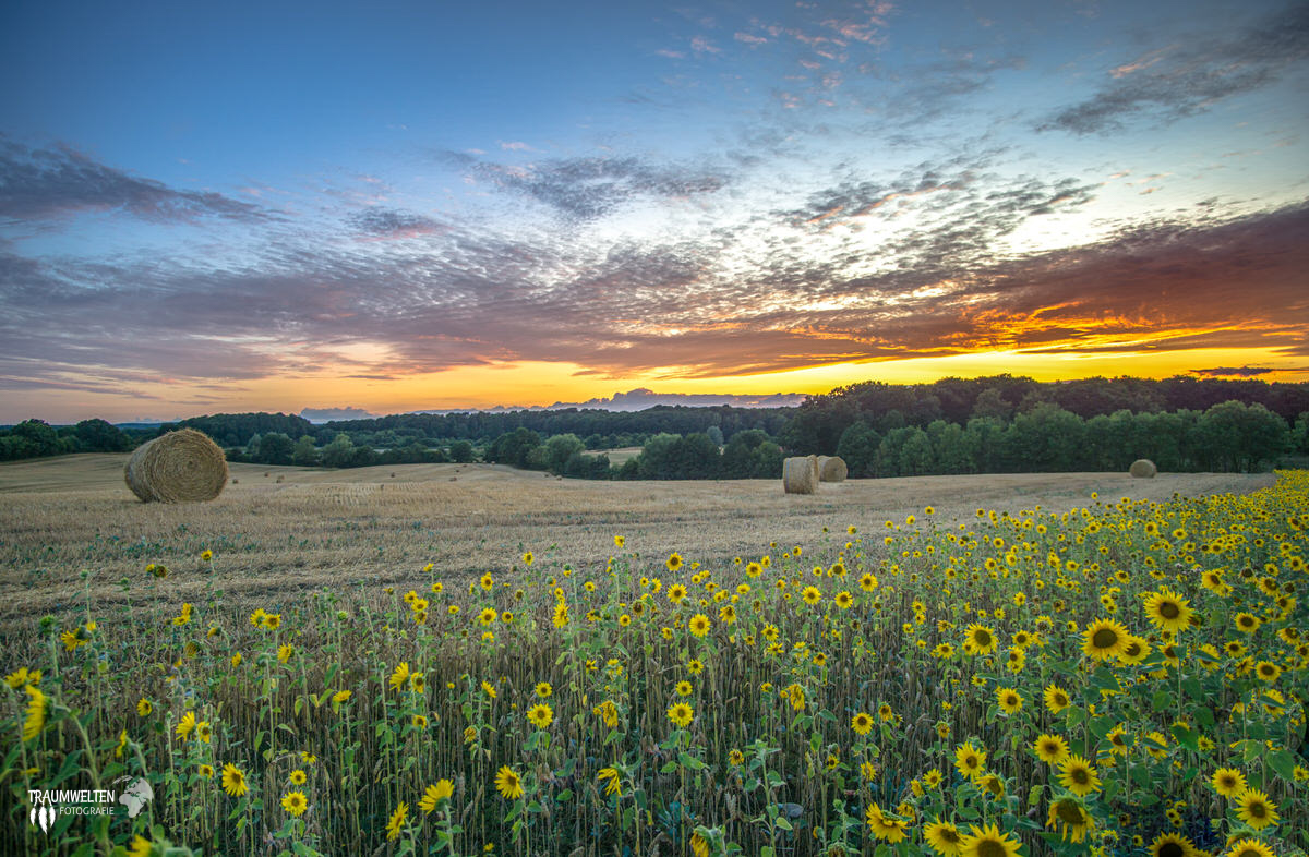 DSC04760-Bearbeitet-Bearbeitet-2